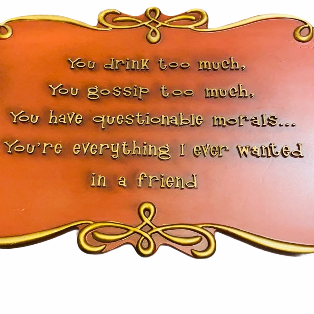 Best Friend theme plaque You drink too much...
